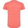 Camiseta Zolder