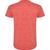 Camiseta Zolder